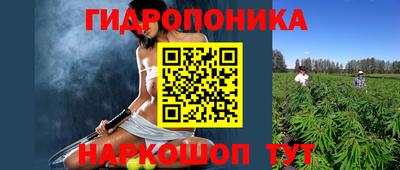 молекула духа Железногорск