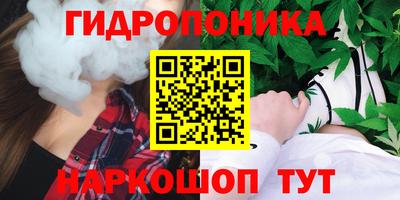молекула духа Железногорск