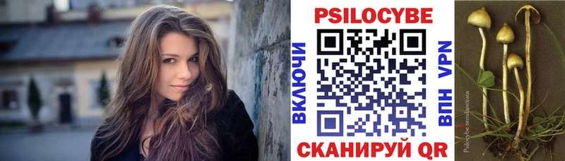 Галлюциногенные грибы мицелий Искитим