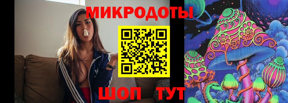 Искитим  Псилоцибиновые грибы мицелий  купить закладку  Вход с VPN 
